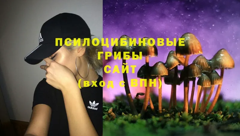 Псилоцибиновые грибы Cubensis Демидов